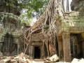 angkor-wat-469_1280