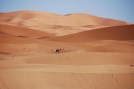desert-