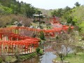 torii-Takayama