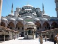 turkey-2809936_640